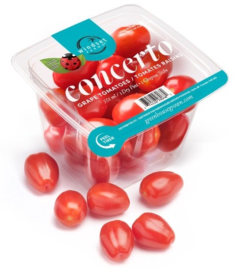 GRAPE TOMATOES [551 ML]