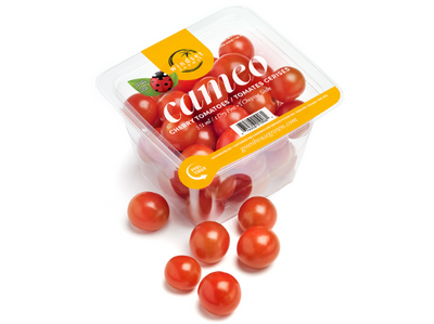 CHERRY TOMATOES [1 EACH]