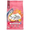 PURINA DOG BEYOND SALMON [1.67 KG]