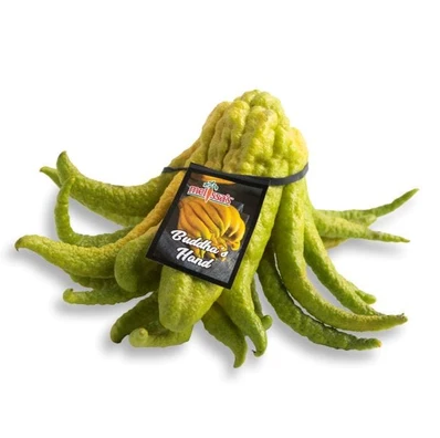 BUDDHAS HAND CITRUS [1 ea]