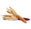 ORNAMENTAL CORN [1 EACH]