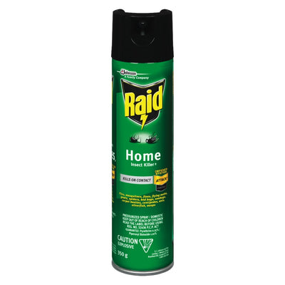 RAID HOUSE & GARDEN BUG KILLER [350 ML]