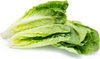 HEARTS OF ROMAINE