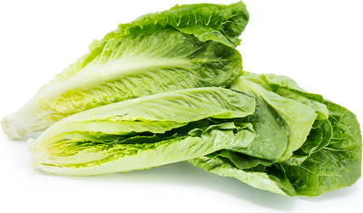 HEARTS OF ROMAINE