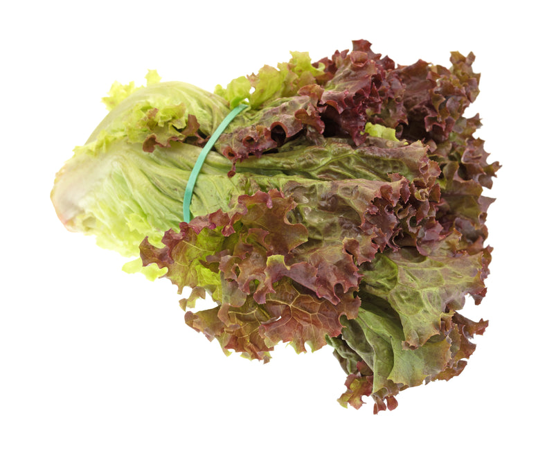 ORG RED LEAF