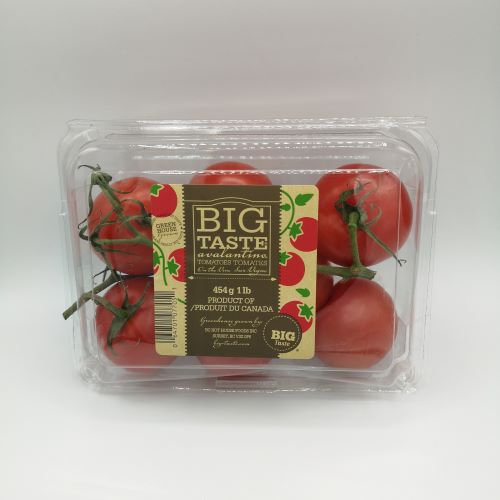 HH TOMATOES ON THE VINE (BC) [1 LB]