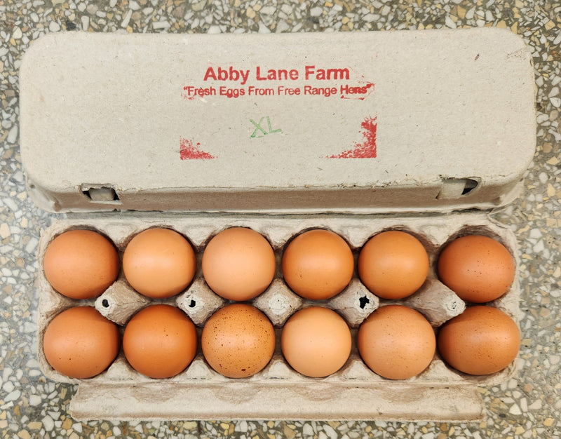 ABBY LANE LRG FARMS EGGS [1 DOZ]
