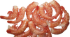 ARGENTINA RED PRAWNS