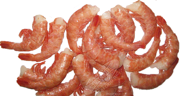 ARGENTINA RED PRAWNS