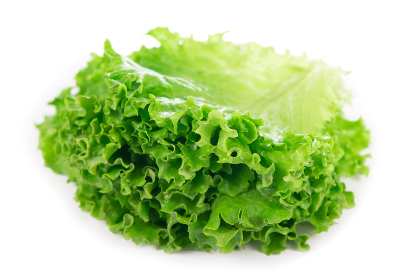 GREEN LEAF LETTUCE [1 EACH]