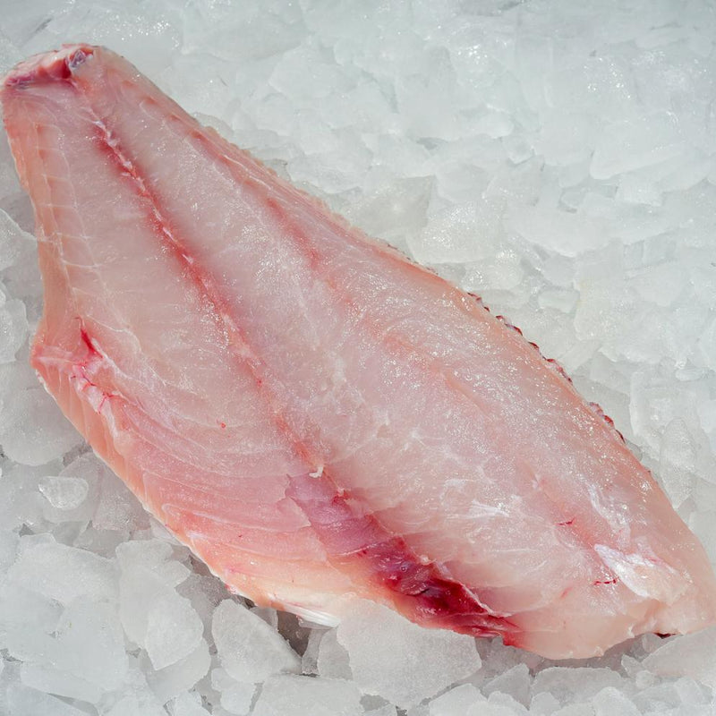 RED SNAPPER
