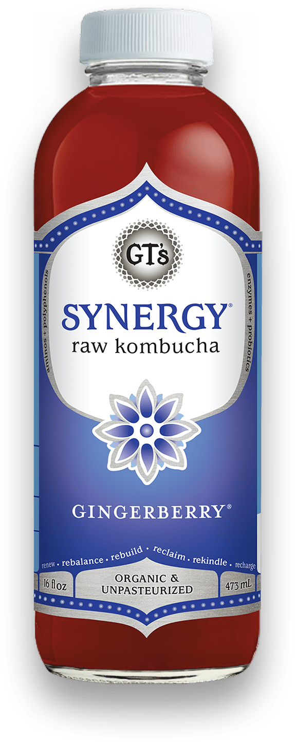 GT'S SYNERGY RAW ORGANIC KOMBUCHA Gingerberry, 480ml