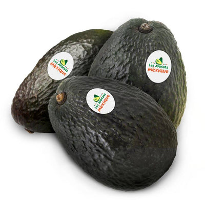 ORGANIC AVOCADOS (MEX) [1 EACH]