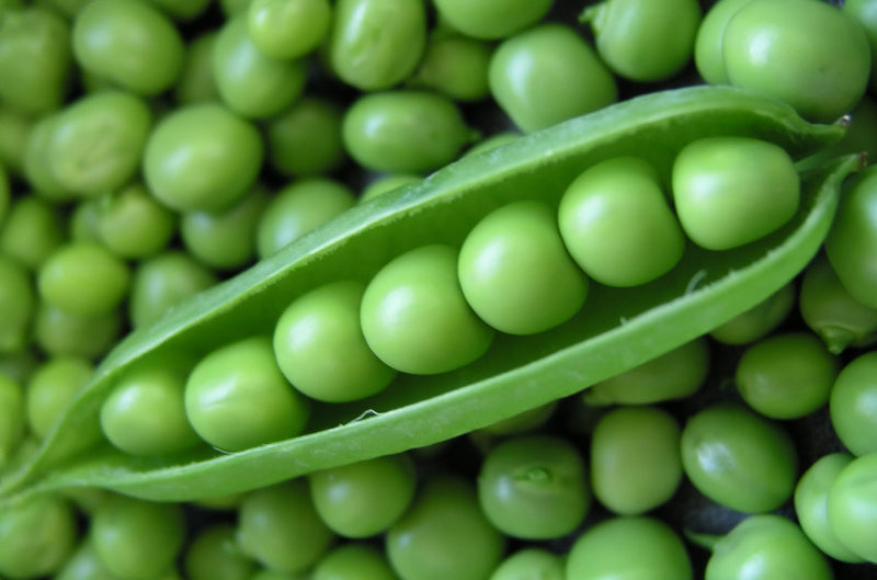 ENGLISH PEAS