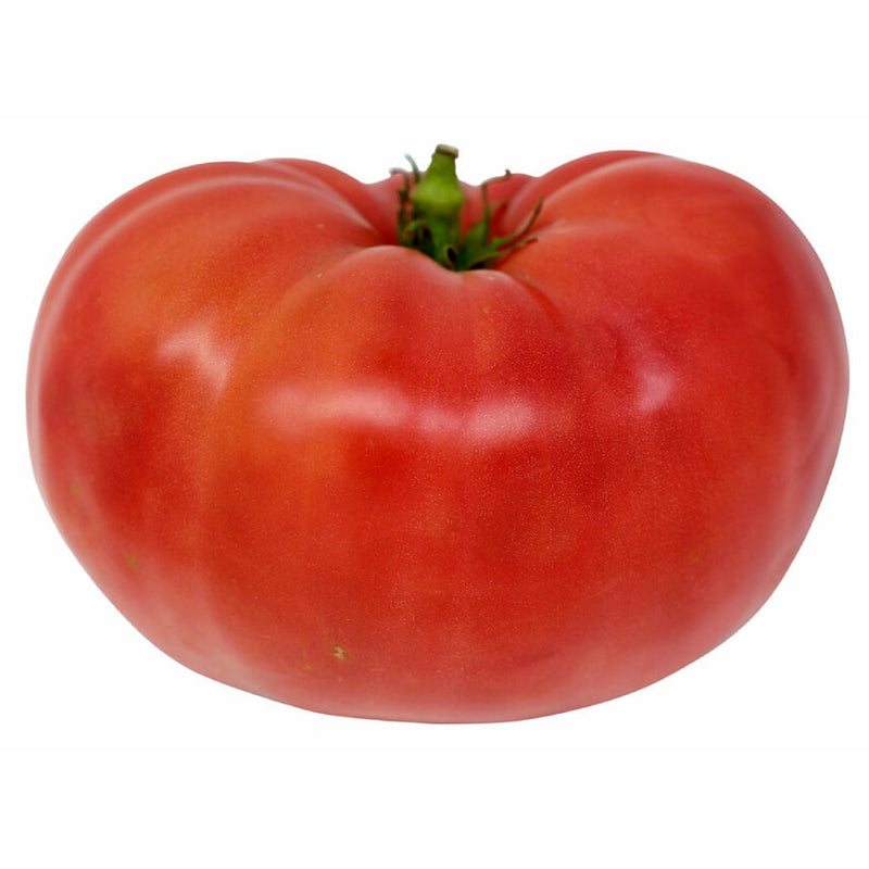 BEEFSTEAK TOMATOES (IMPORT) 1 kg