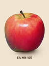 SUNRISE APPLES (BC)