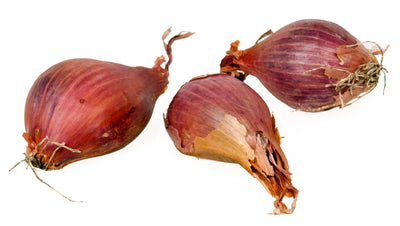 SHALLOTS (US)