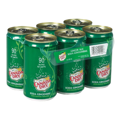 CANADA DRY GINGERALE MINIS [6 X222M]