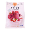 EVIVE SAMOURAI SMOOTHIE CUBES [405 g]
