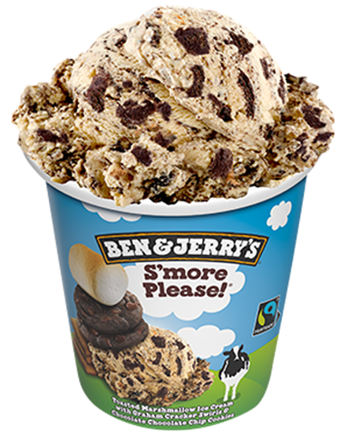 BEN & JERRY SMORE PLEASE [473 ML]