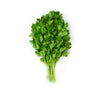 ITALIAN PARSLEY [1 ea]