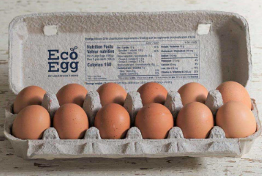 ECO EGG LARGE EGGS [1 DOZ]