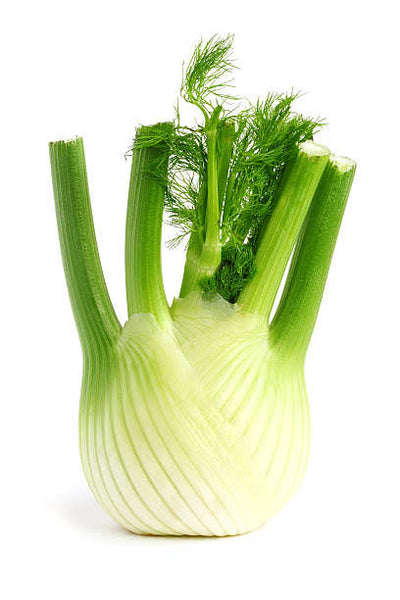 ORGANIC FENNEL (US) 1 EACH