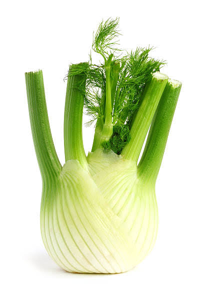 ORGANIC FENNEL (US) 1 EACH