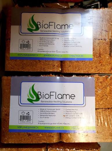 BIOFLAME BRICKS 12 pkg
