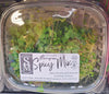 SIDNEY MICROGREENS SPICY MIX [1 ea]