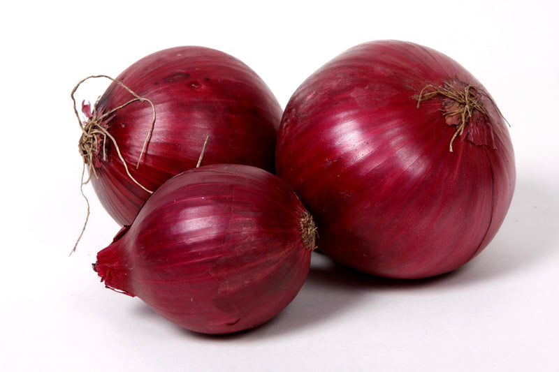 RED ONIONS