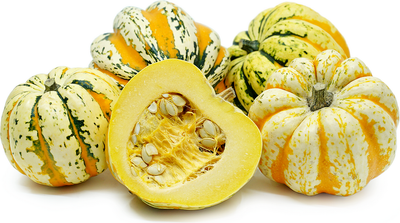ORGANIC CARNIVAL SQUASH
