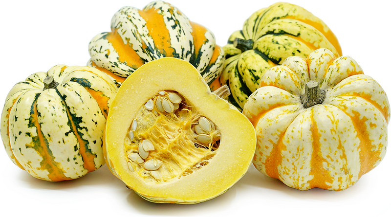 ORGANIC CARNIVAL SQUASH