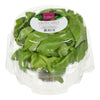 LIVING BUTTER LETTUCE (BC) [1 ea]