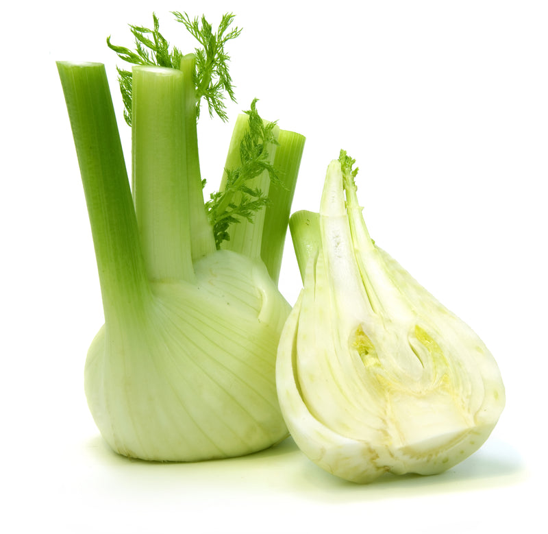 FENNEL