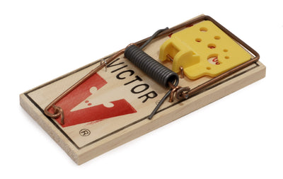 VICTOR  MOUSE TRAP [1 PK]
