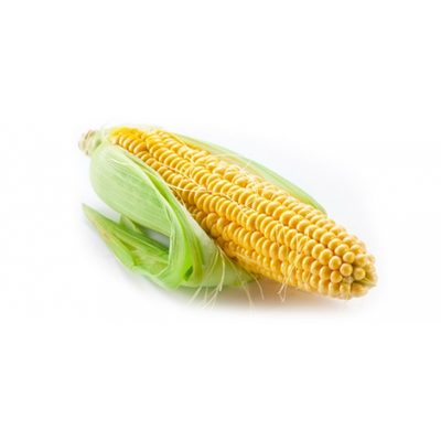 CORN ON THE COB [1 EACH]