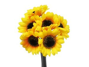 SUNFLOWERS [1 BUNCH]