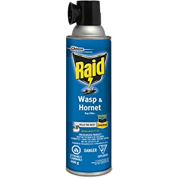 RAID WASP & HORNET [400 G]