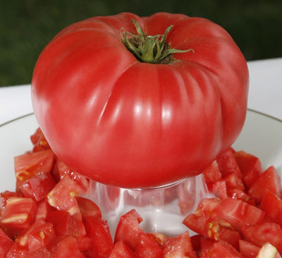 FIELD TOMATO (MEXICO)