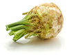 CELERY ROOT