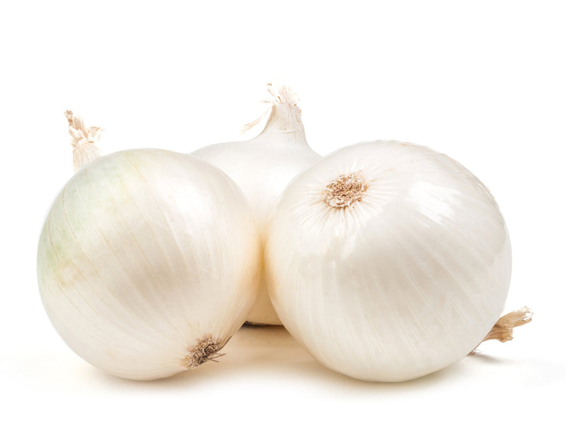 WHITE ONIONS