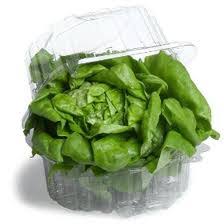 BUTTER LETTUCE (BC) [1 EACH]