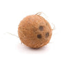 COCONUTS