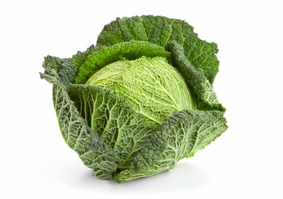 SAVOY CABBAGE
