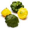ORGANIC PATTY PAN SQUASH