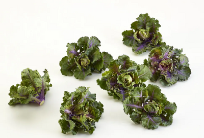 BC KALETTES [250 G]