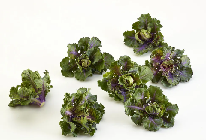BC KALETTES [250 G]