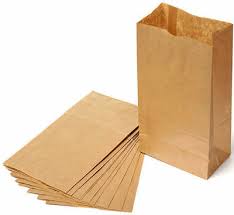 PAPER LUNCH BAGS [50 pcs]