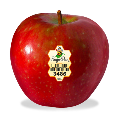 SUGAR BEE APPLES